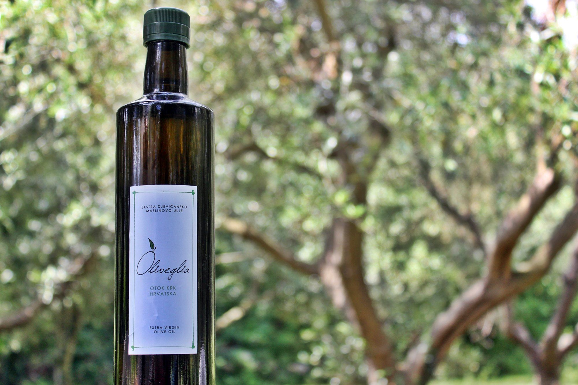 A bottle of Oliveglia extra virgin olive oil in dark glass with a white label, standing in the olive grove